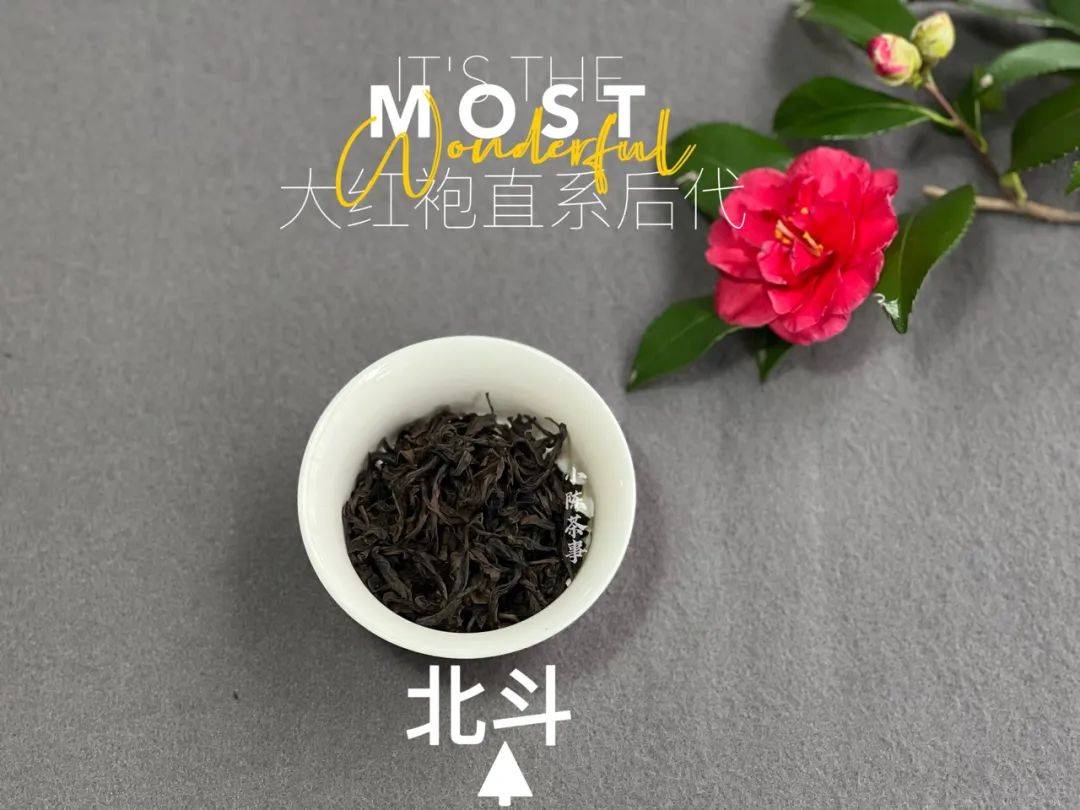北斗,奇丹,小红袍,紫红袍,谁才传承了武夷岩茶大红袍的神韵?_汤水_后代_姚老