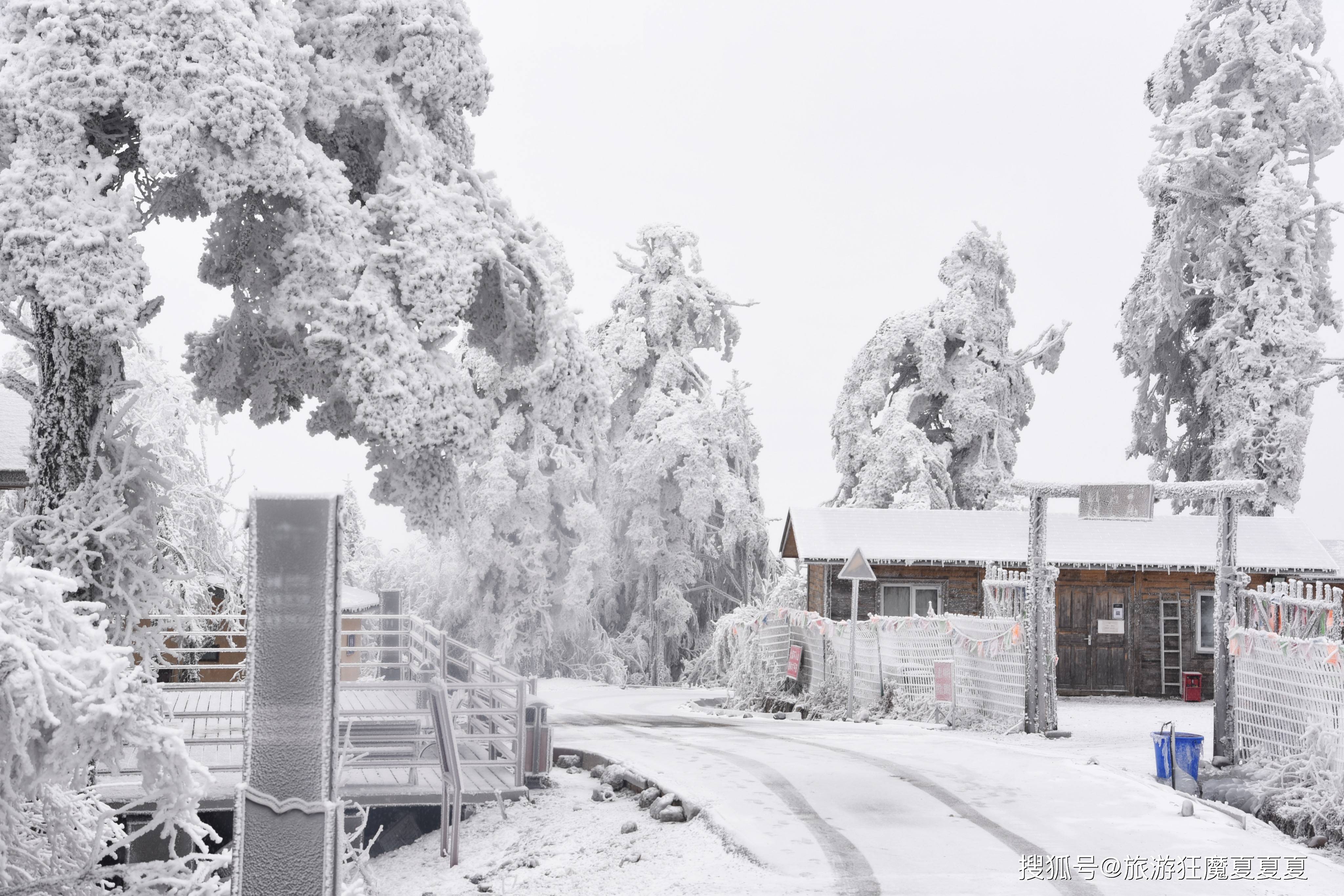 王岗坪|四川赏雪好去处，山上小木屋宛如北欧，还能远眺蜀山之王贡嘎雪山