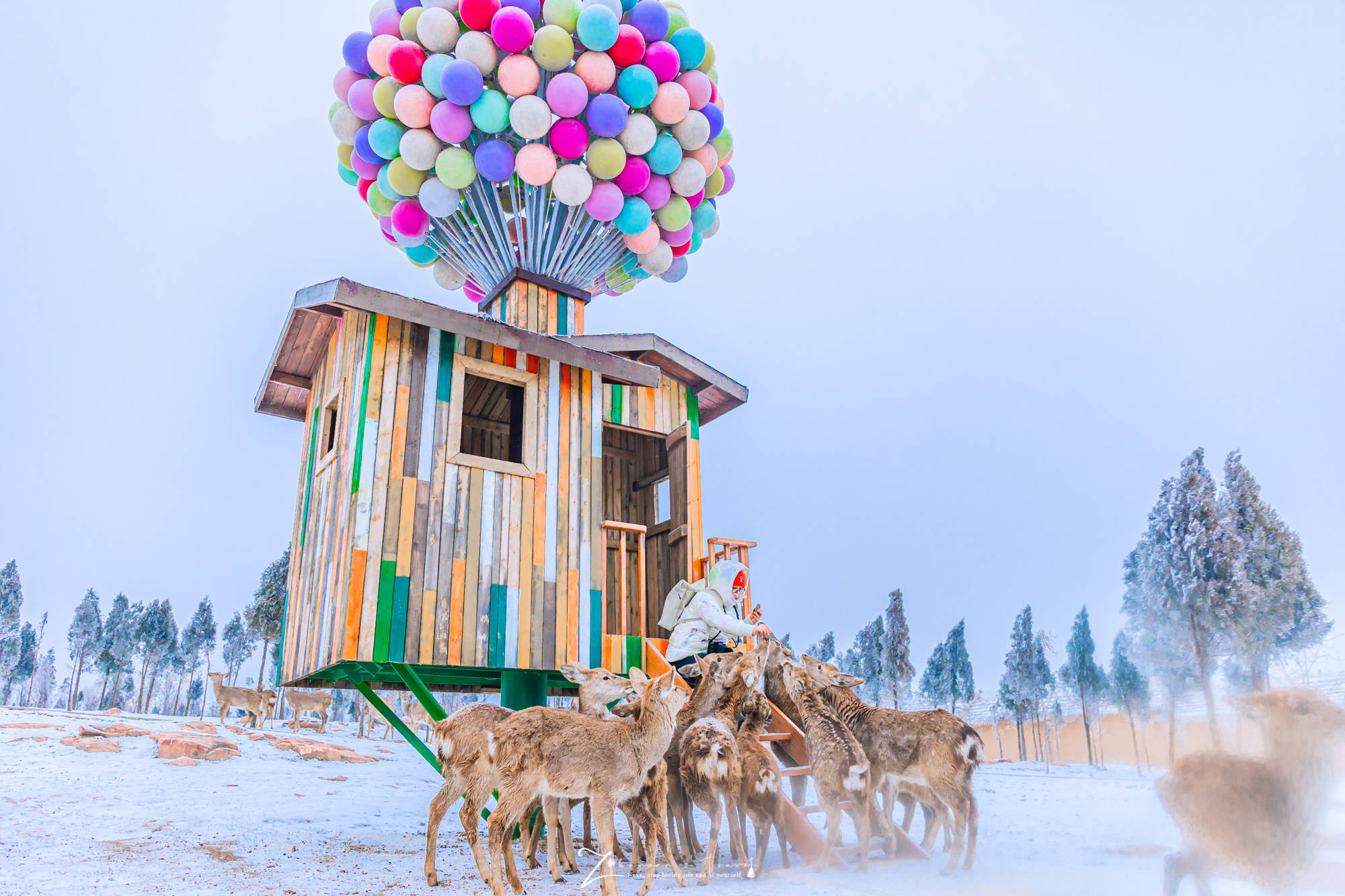 滑雪场|郑州周边自驾游，山上的城堡滑雪场开放了！跨年元旦带娃好去处