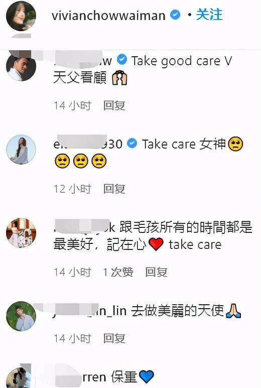 周慧敏一个月痛失两只爱猫结婚多年不生孩子视宠物为亲生儿女