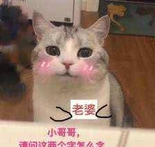 脸部娱乐圈全体女明星都得跪服，52岁比同框的25岁小鲜肉还嫩！