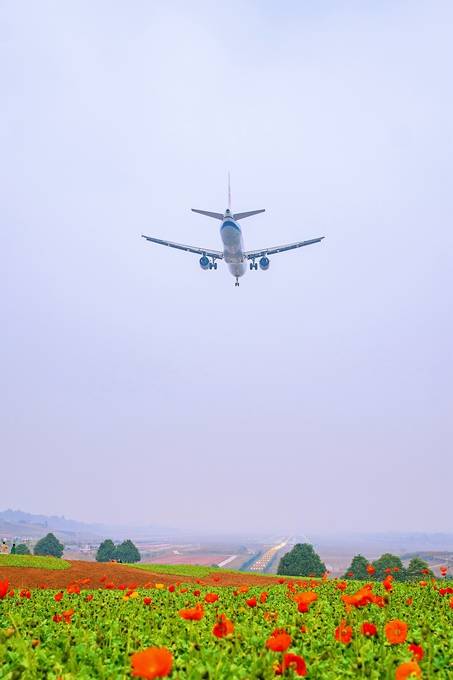 感觉|成都双流有一处空港花田，充满浪漫和童趣，仿佛置身于彩画之中