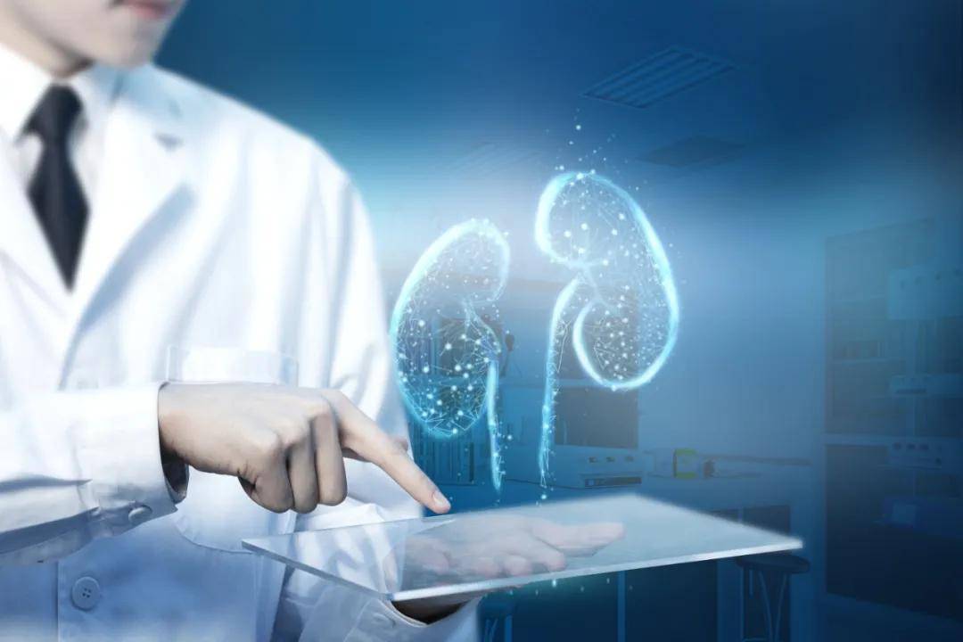 肾脏|这两大身体“哑巴器官”,氢来护!