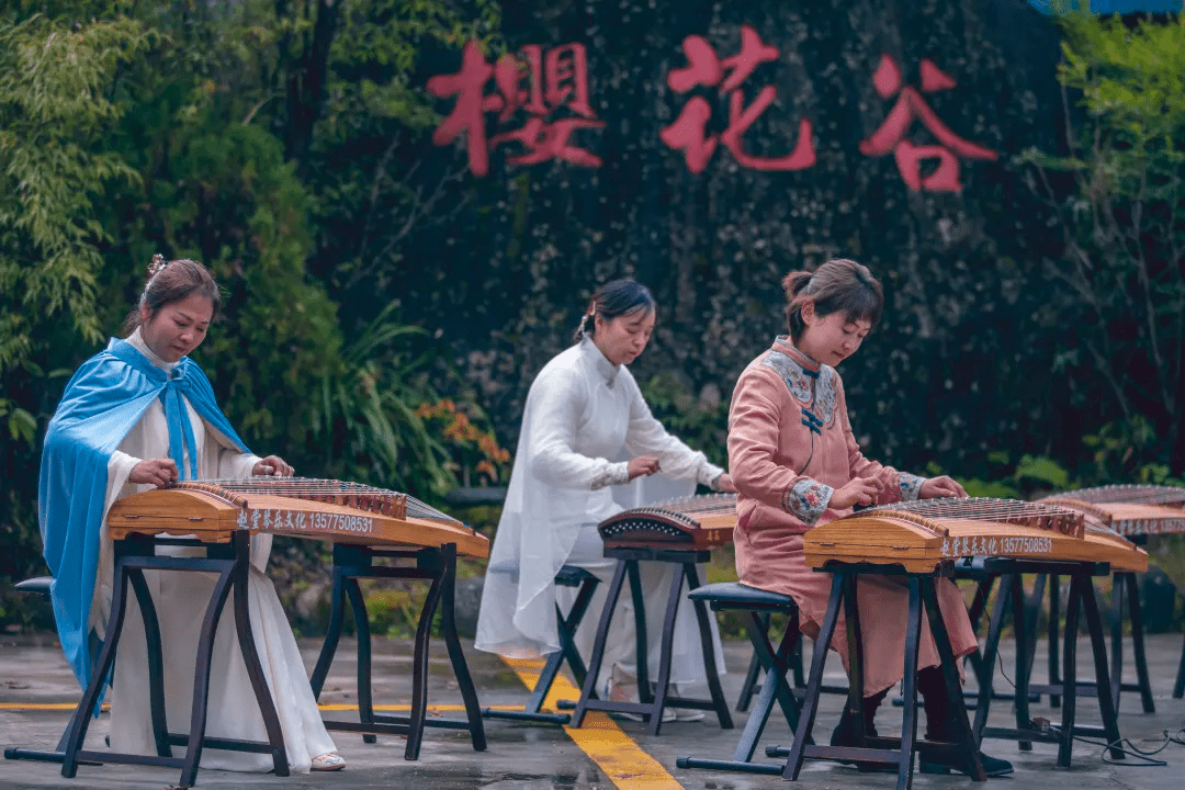 瑞邦|腾冲周边游丨冬日游樱花谷