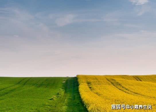 爱情什么时候来到自己身边 86e52ab893014001881c3b263924debd.jpeg
