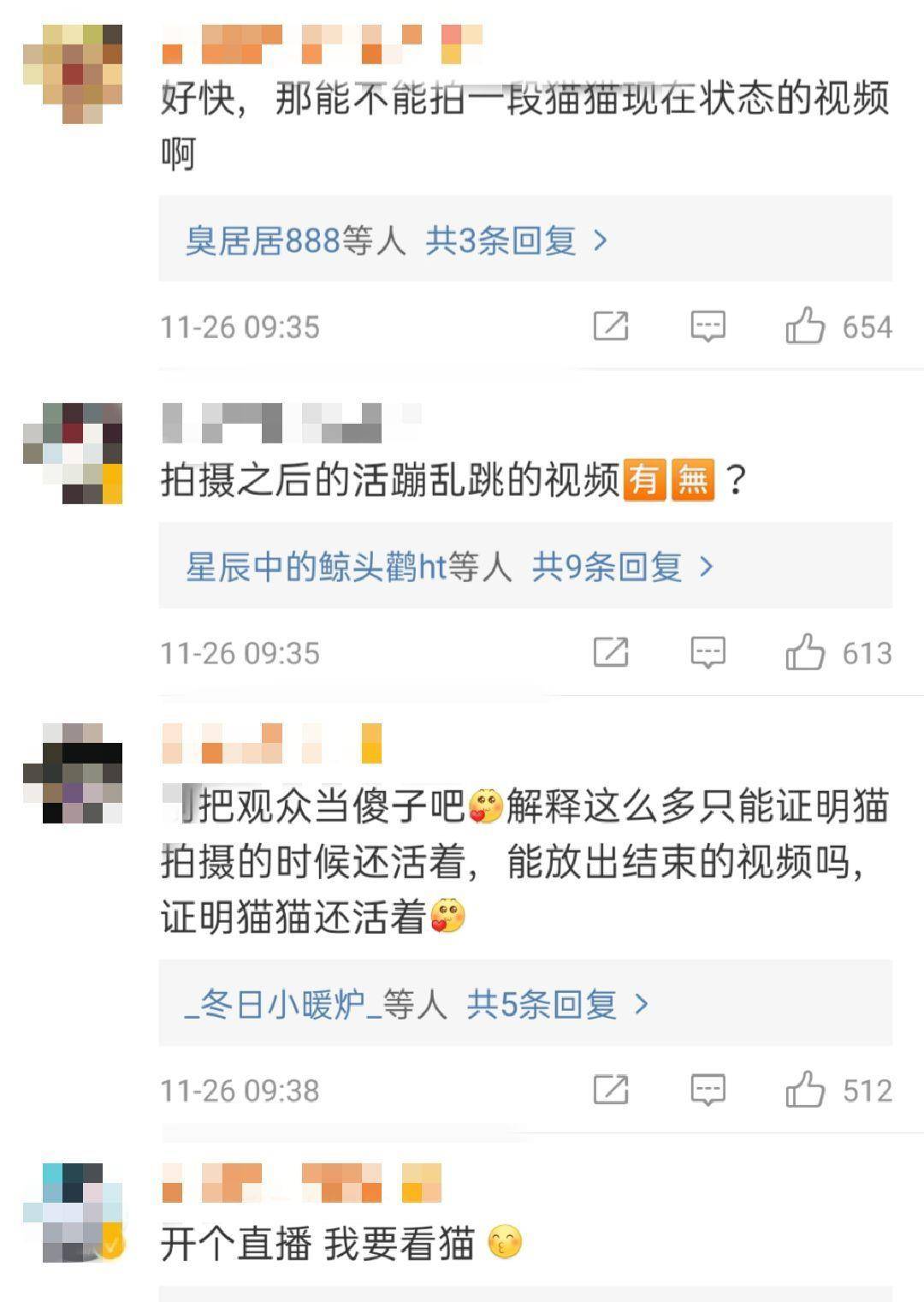 猫咪|《当家主母》疑毒死真猫，画面太真实引争议，剧组澄清毫无说服力