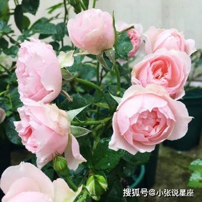 谁能娶到祖坟冒青烟 这6个生日尾数女左手捧金 右手捧银 农历 财运 日子