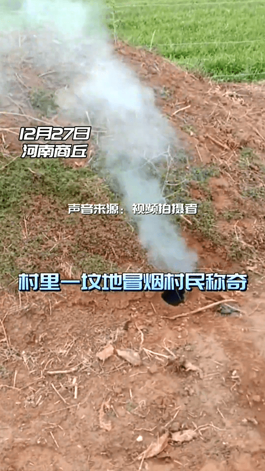 原创祖坟真的冒青烟了河南男子拍手叫好这烟冒的劲真大
