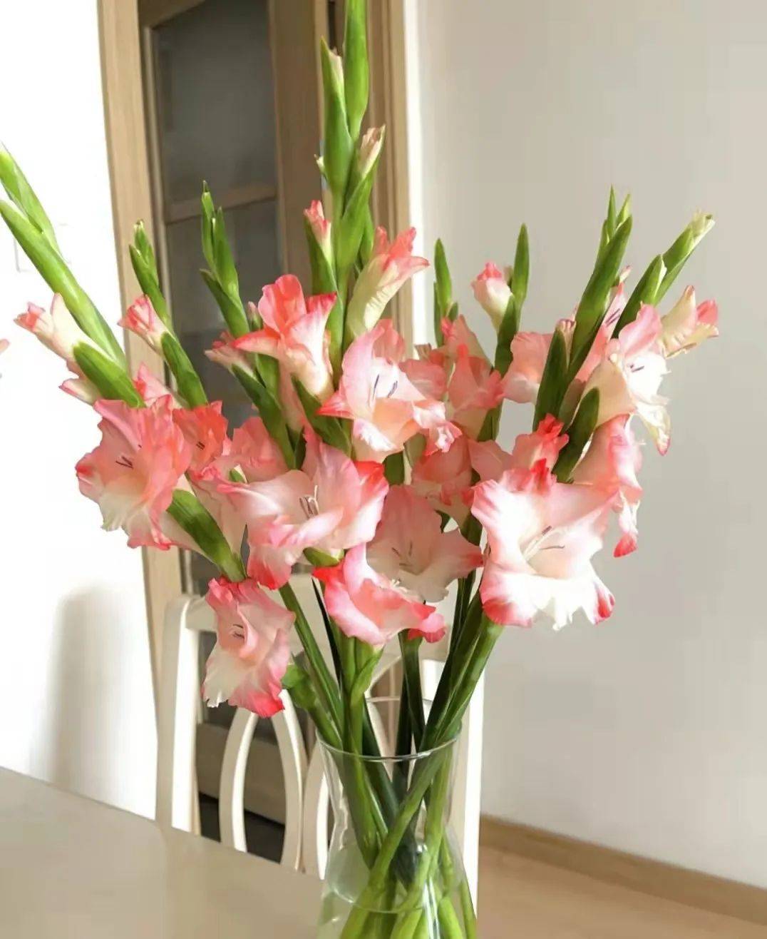 南方适合种什么盆栽花 7d2b7ac0aaae4b90aff2383cb1aaa4a3.jpeg