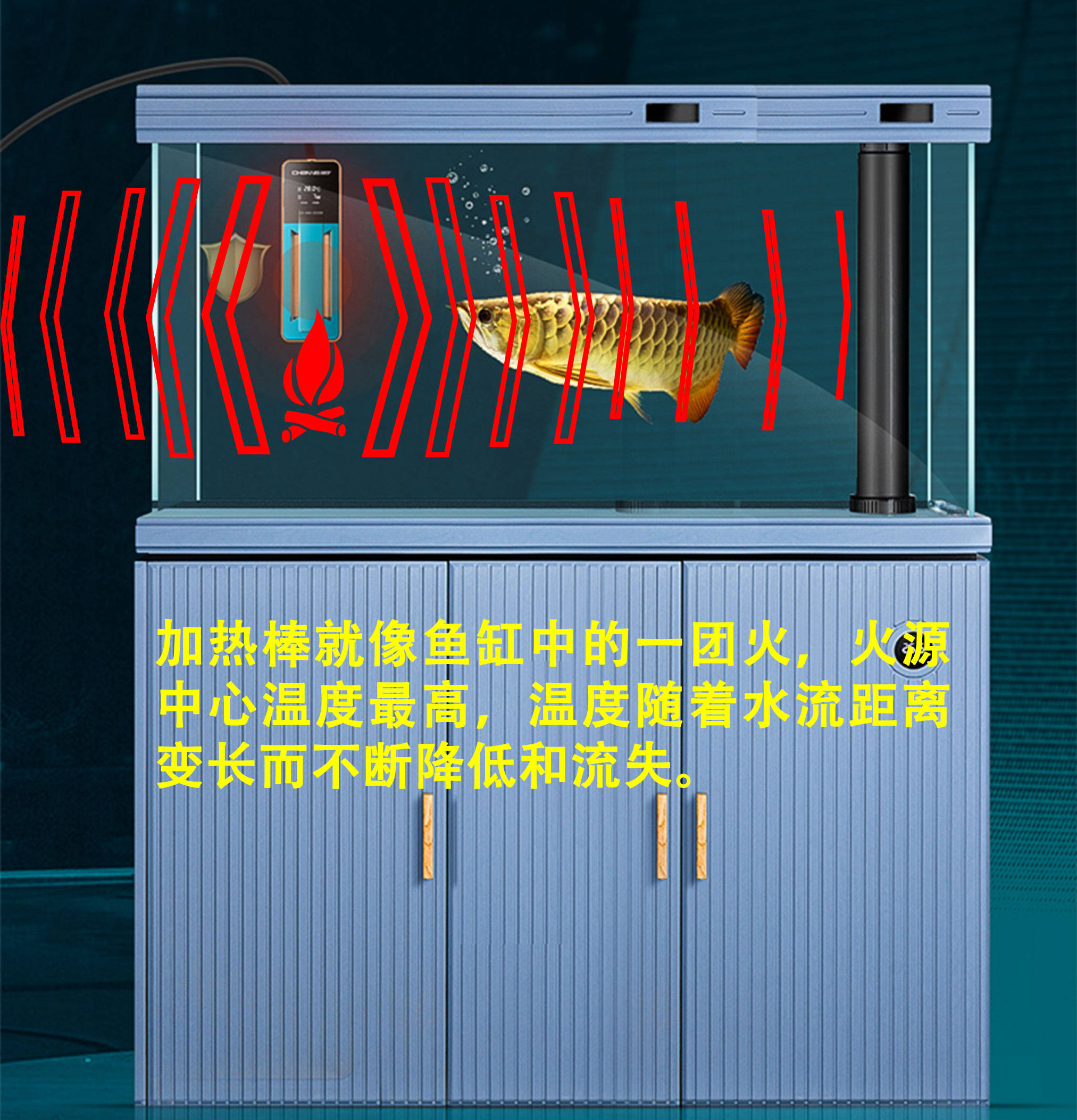 怎样选鱼缸尺寸 d1eb595c3d3a47b6bef2349dda498995.jpeg