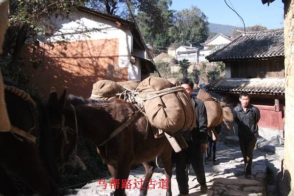 清风|凤庆县多措并举抓实乡村旅游（清风视频）