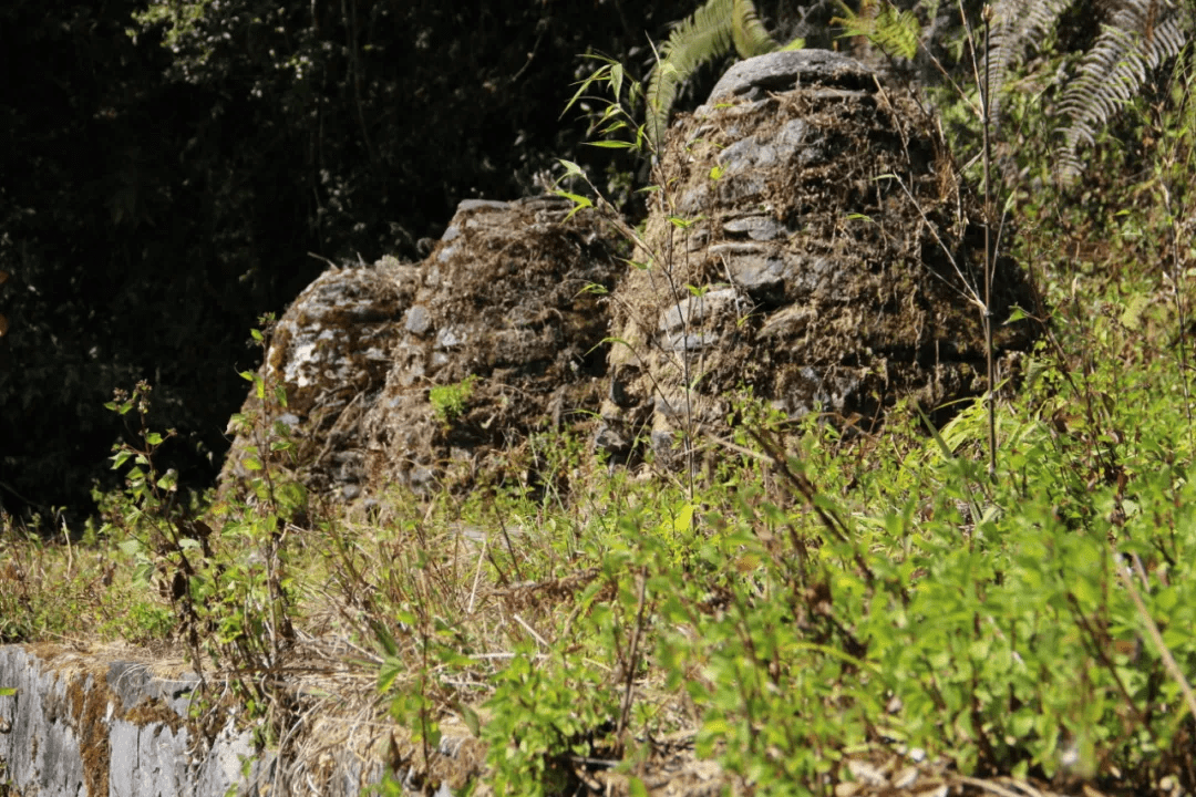 遗址|【国家AA级景区】腾冲芒棒高黎贡山古道公园景区