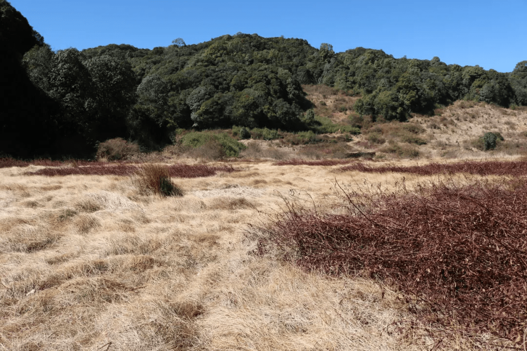 遗址|【国家AA级景区】腾冲芒棒高黎贡山古道公园景区