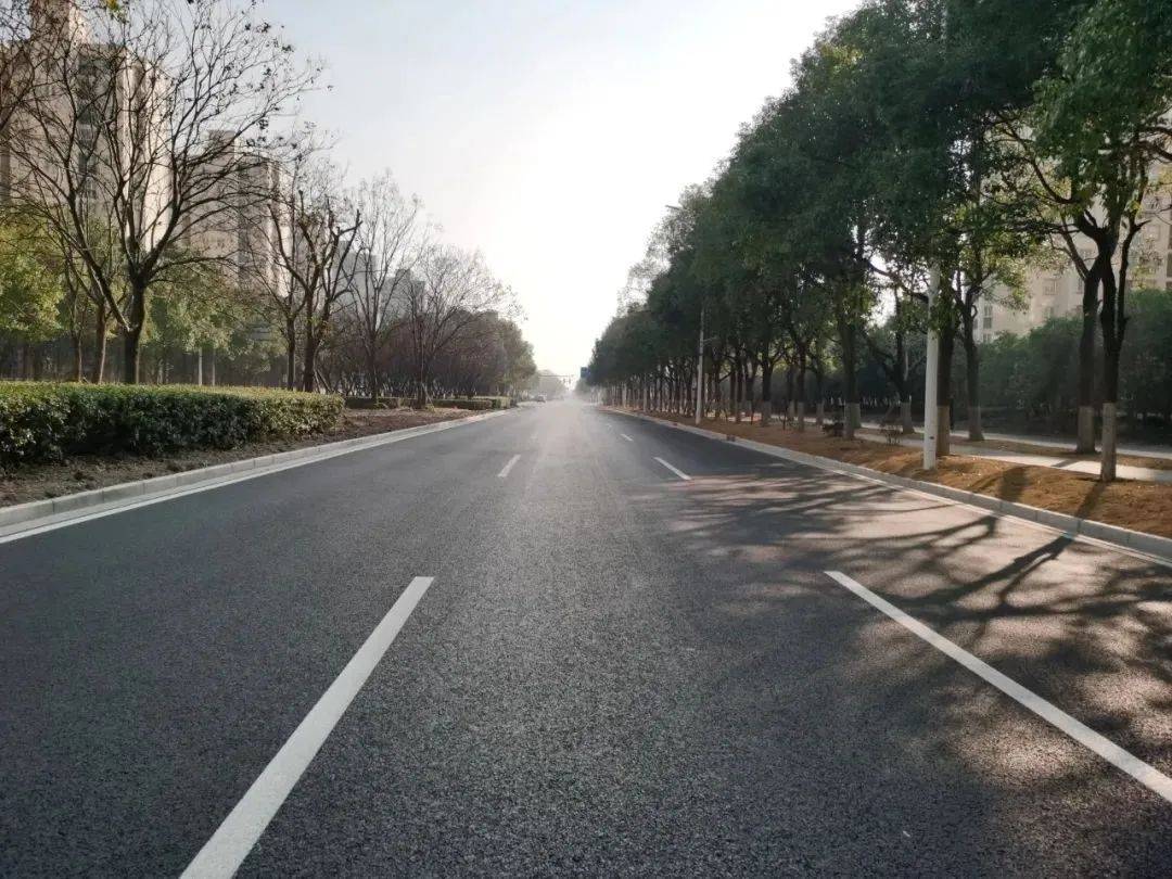 喜讯浦东这条57公里的城市次干路改建工程竣工通车