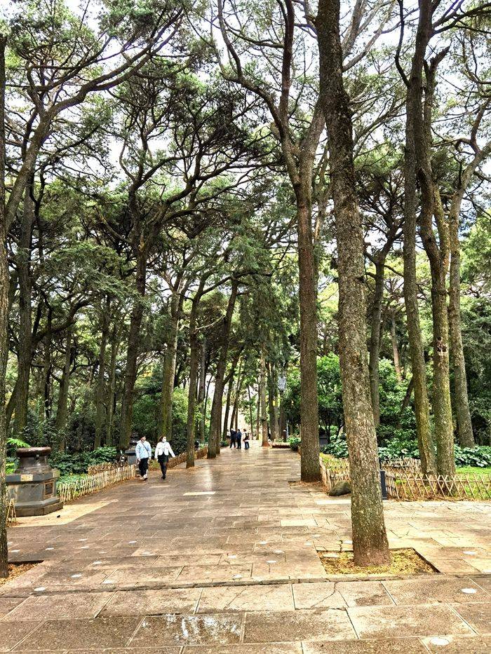 (细品昆明6)鸣凤山中金殿现,鹦鹉麓里晨钟鸣!_云南_吴三桂_风景区