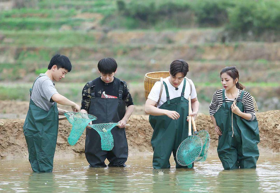 蘑菇屋第一季最新一期 62a9bf421b2d458f9a596d38d9d09679.jpeg