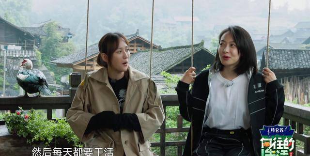 生活|《向往的生活》粉丝不要慌，像第七期这样的逆天阵容后面还有一次