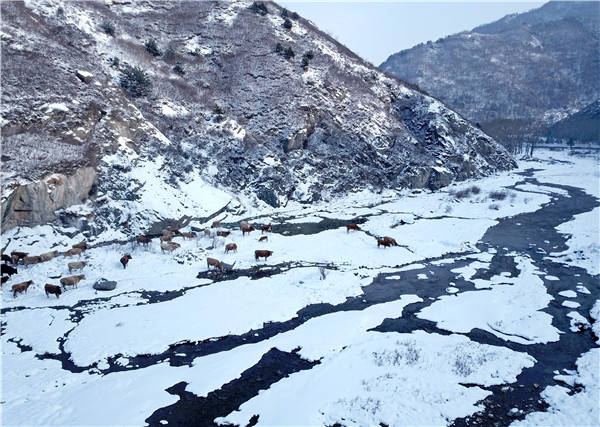 【广鸿旅游】五台山2022独处的日子，与自己心灵对话