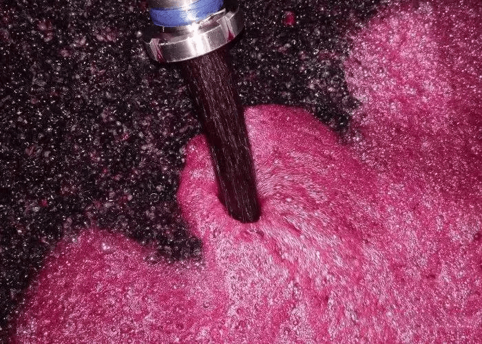 卡赫季|别卡速：豹子号333