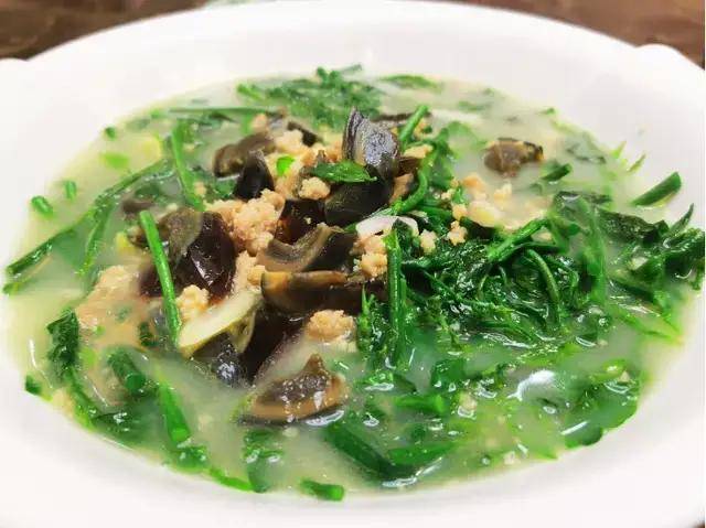 新农26|成立农社 扩建基地 五指山黄月芳的树仔菜脆嫩美味_贺村_种植