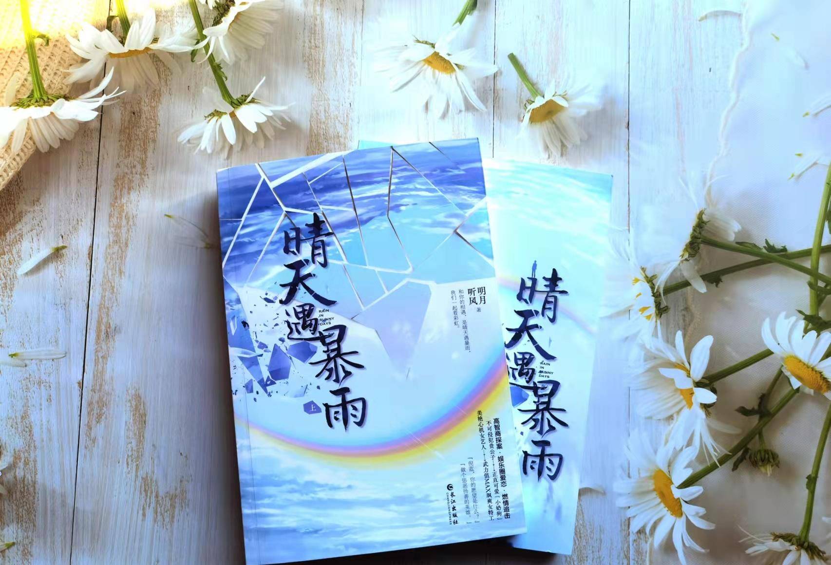 倪蓝渴望找回真正的自己,在调查的过程中,她与娱乐公司总裁蓝耀阳有了