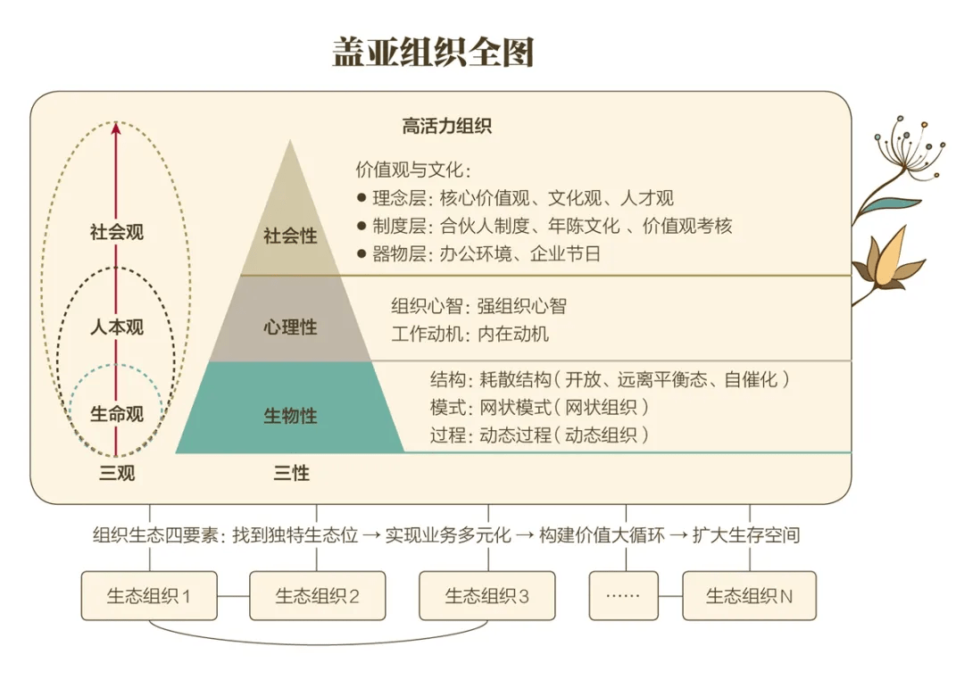 普利高|一流的组织，都掌握了这个生态密码