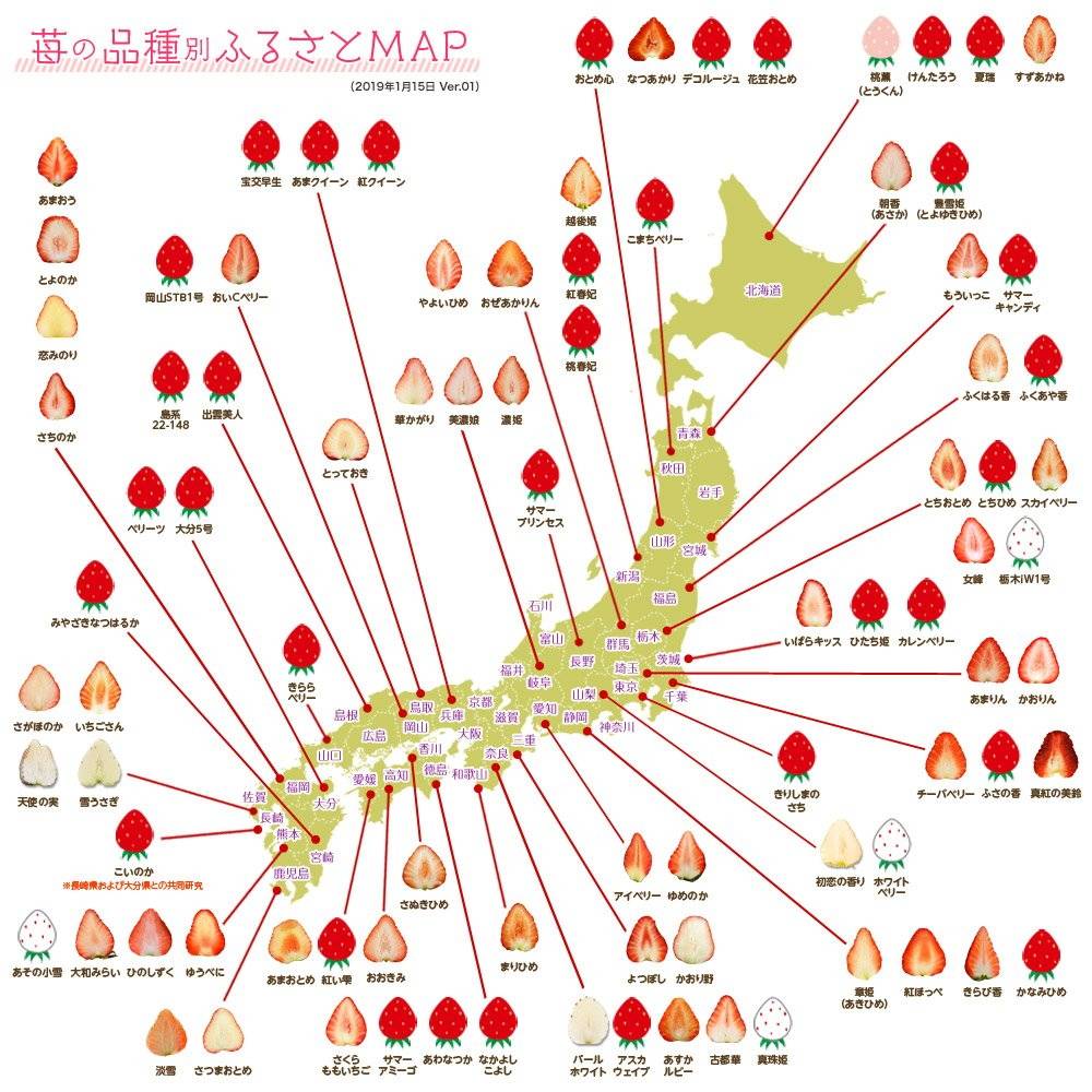 日本农林水产食品出口首破万亿日元！这些在海外最受欢迎的美食你都吃过吗？