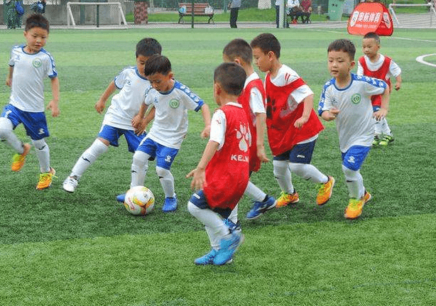 家长|低龄学生的怪现象，幼儿园里“光芒四射”，到了小学“泯然众人”