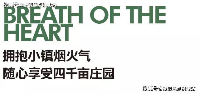 文章配图-6