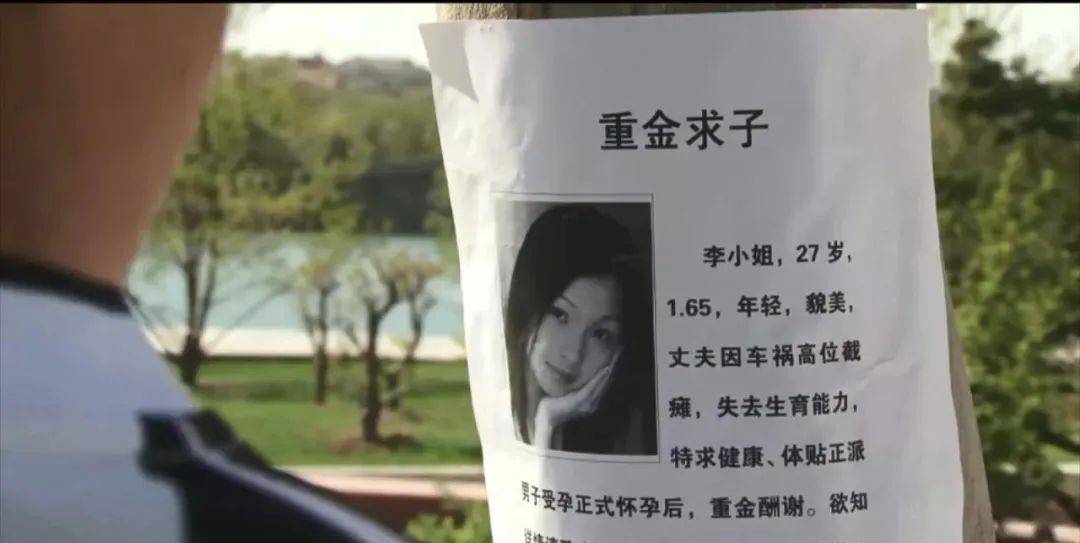 国产|2021年豆瓣8分以上的十部国产好剧，《山海情》仅排第二