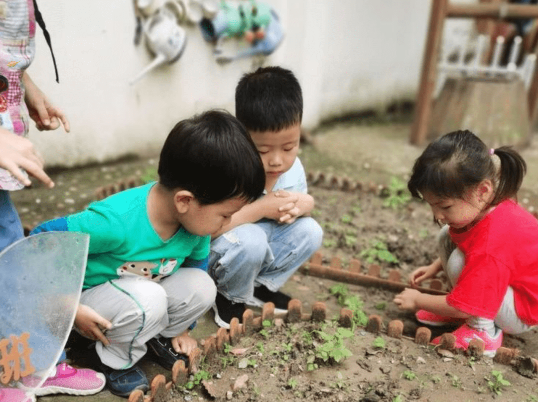 独立|幼儿园如同小社会，要想孩子混得好，主要培养四种能力