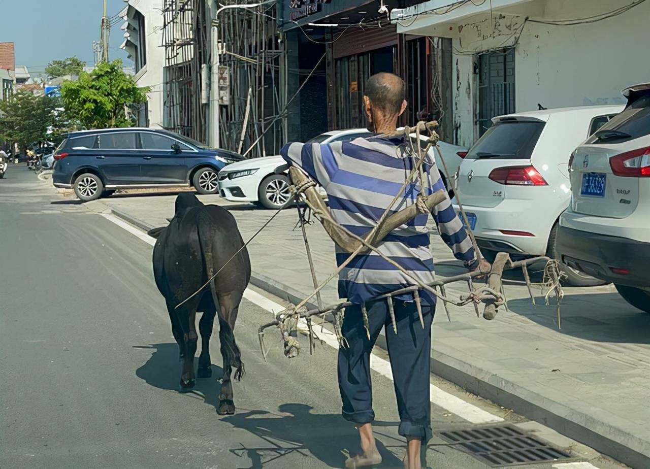 海头红|儋州游：看看农贸市场和古镇，体验不一样的海南民情与风俗