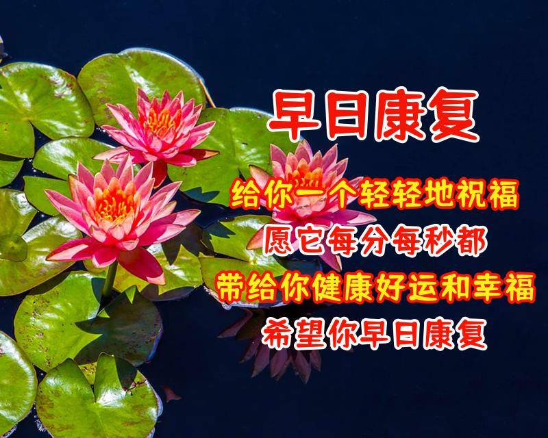 發給朋友好看的祝福圖片祝福語