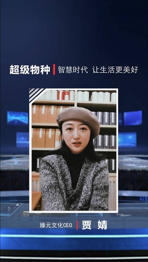 臻元文化ceo贾婧分享数字化对文化艺术领域的重塑中国本地生活服务