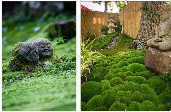 竹塑_禅宗_精神