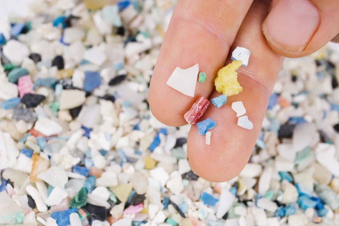 研究发现海鲜食盐空气水无处不在的微塑料可能会损害健康