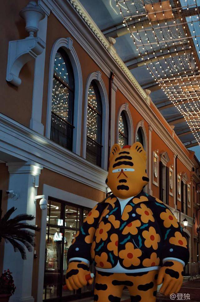 ����ʥ���ڻ���һ����Ӵ