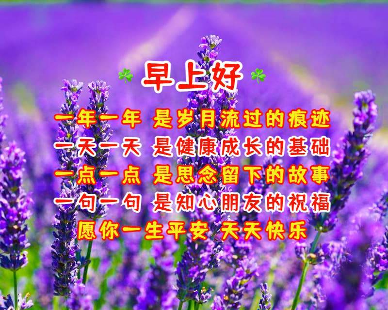 清早祝福大家早上好問候語美圖漂亮早晨好圖片送給你