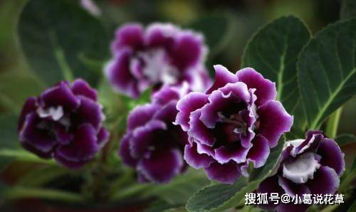 cd4ccba6203544f296ffd4ec428d39a3.jpeg