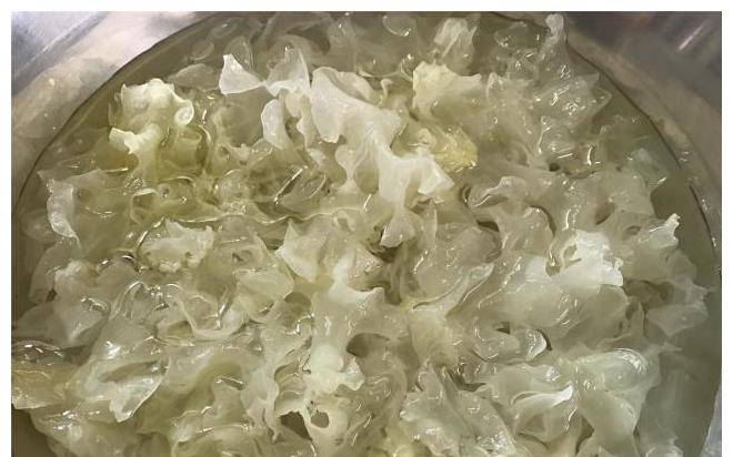 做法女人的天然补品，双重胶原蛋白，每天喝一碗，滋润肌肤，老得慢
