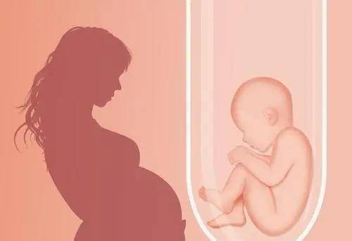 如何才能怀孕需要注意啥 9339a7eeb4544bf5b5406cb33b84e148.jpeg