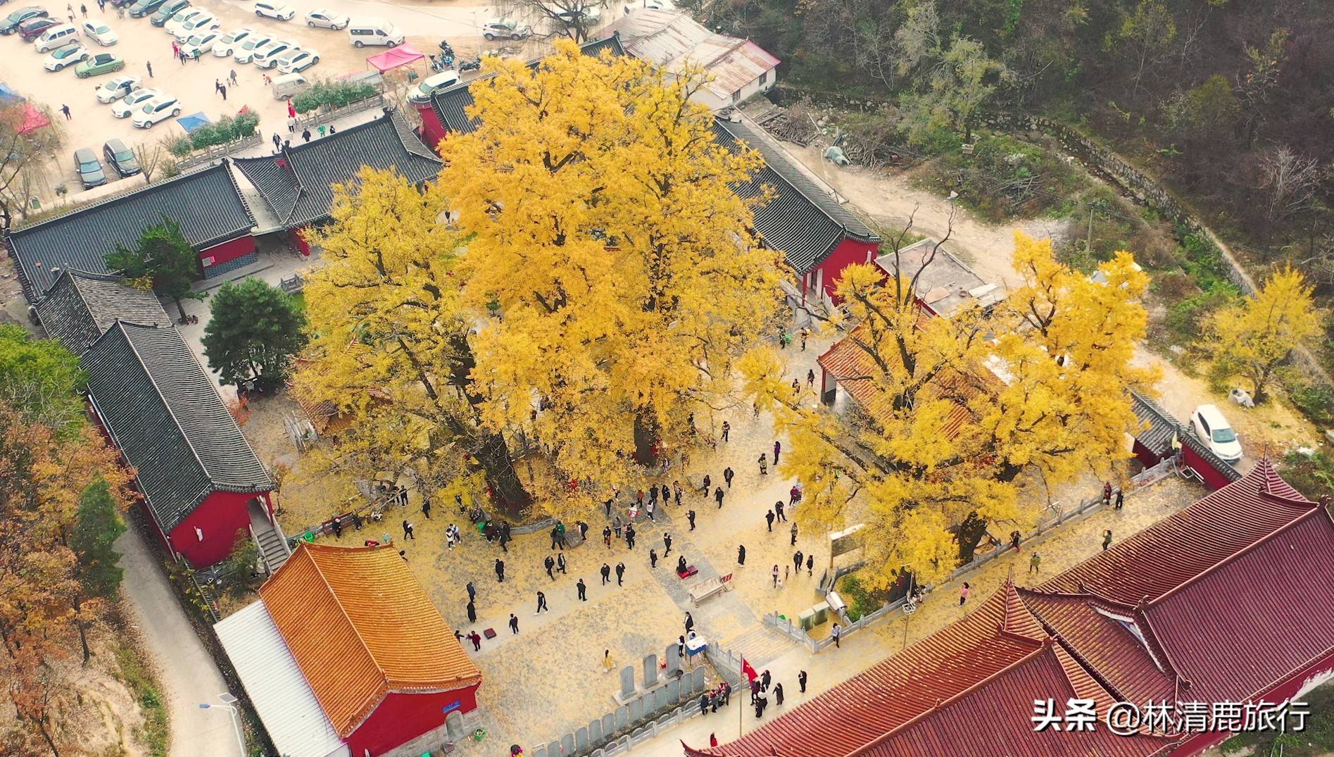河南6大高口碑寺庙，全部免费开放，香火旺盛，春节祈福好去处