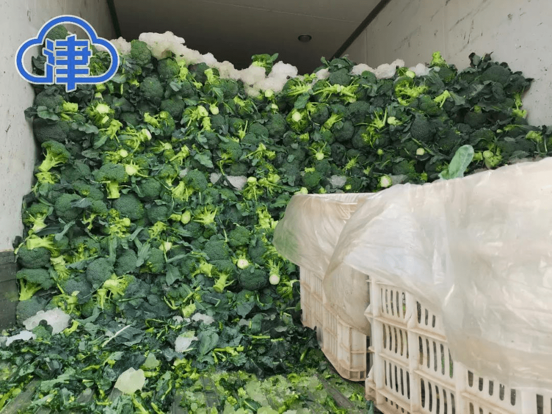 天津|都踏实住了！天津这个“菜篮子”库存超4000吨，还有5000多吨在路上！