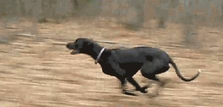b8b567e6dde6465991f17952a620c9b8.jpeg