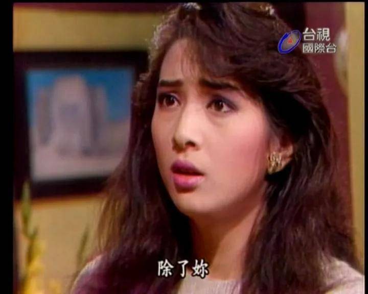 《家有仙妻》美女林以真55岁冻龄有方!曾秘嫁富翁息影_角色_工作_台湾