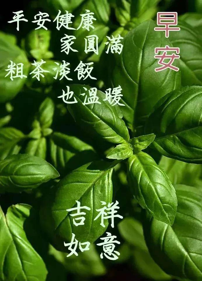 原创1月12日冬季早上好问候语带图片早上好问候语动态图片