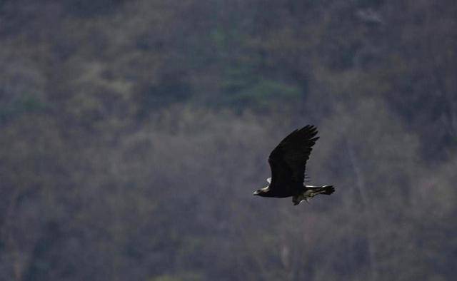 人怎么才能飞上天 ce560e5570e8414faee8fd4b04457624.jpeg