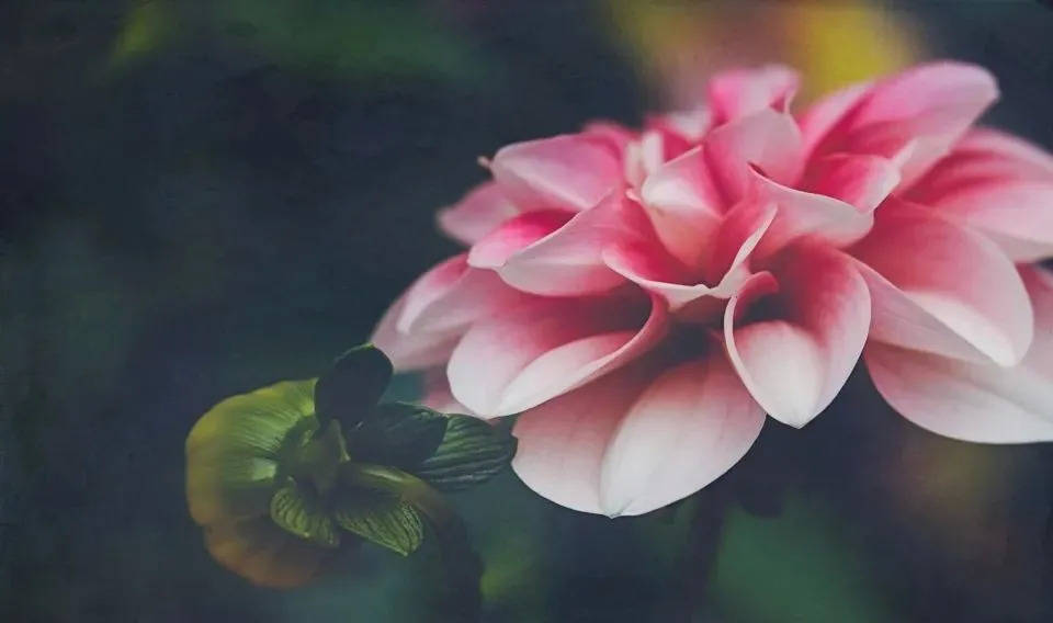 创维电器谋求创业板上市,主业弱利润低前景难测-家电圈官网