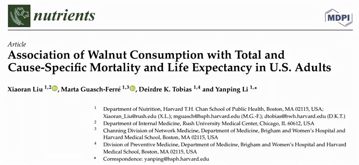 核桃怎么吃消化