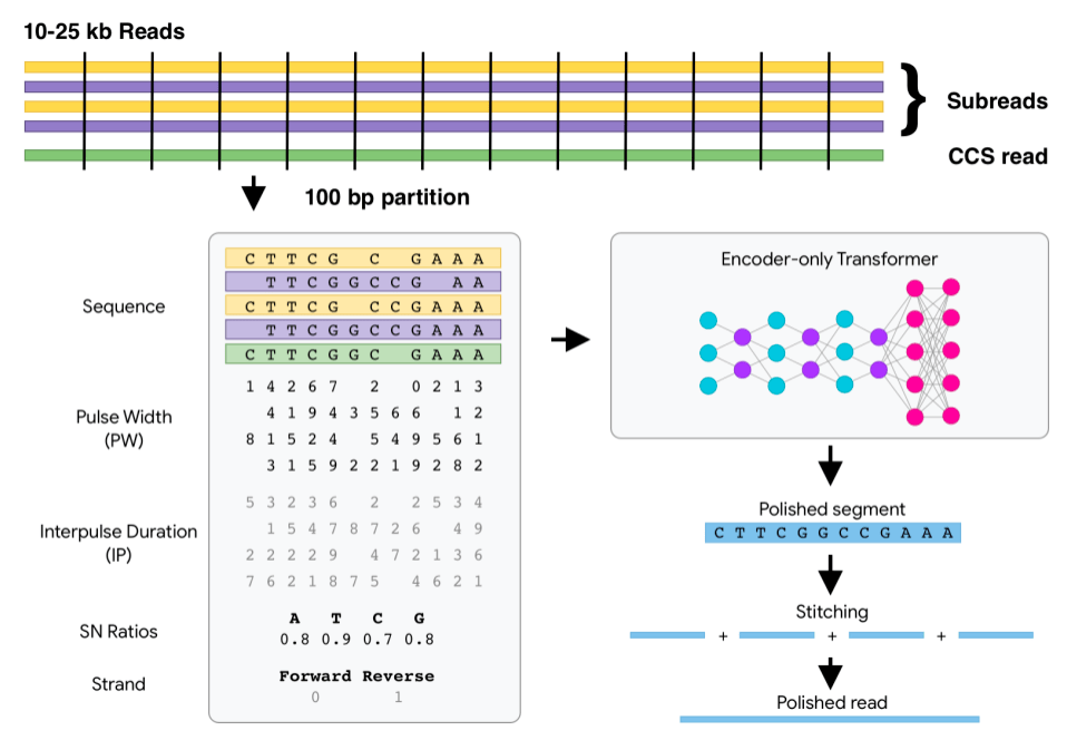 Jeff Dean长文展望：2021年之后，机器学习领域的五大潜力趋势